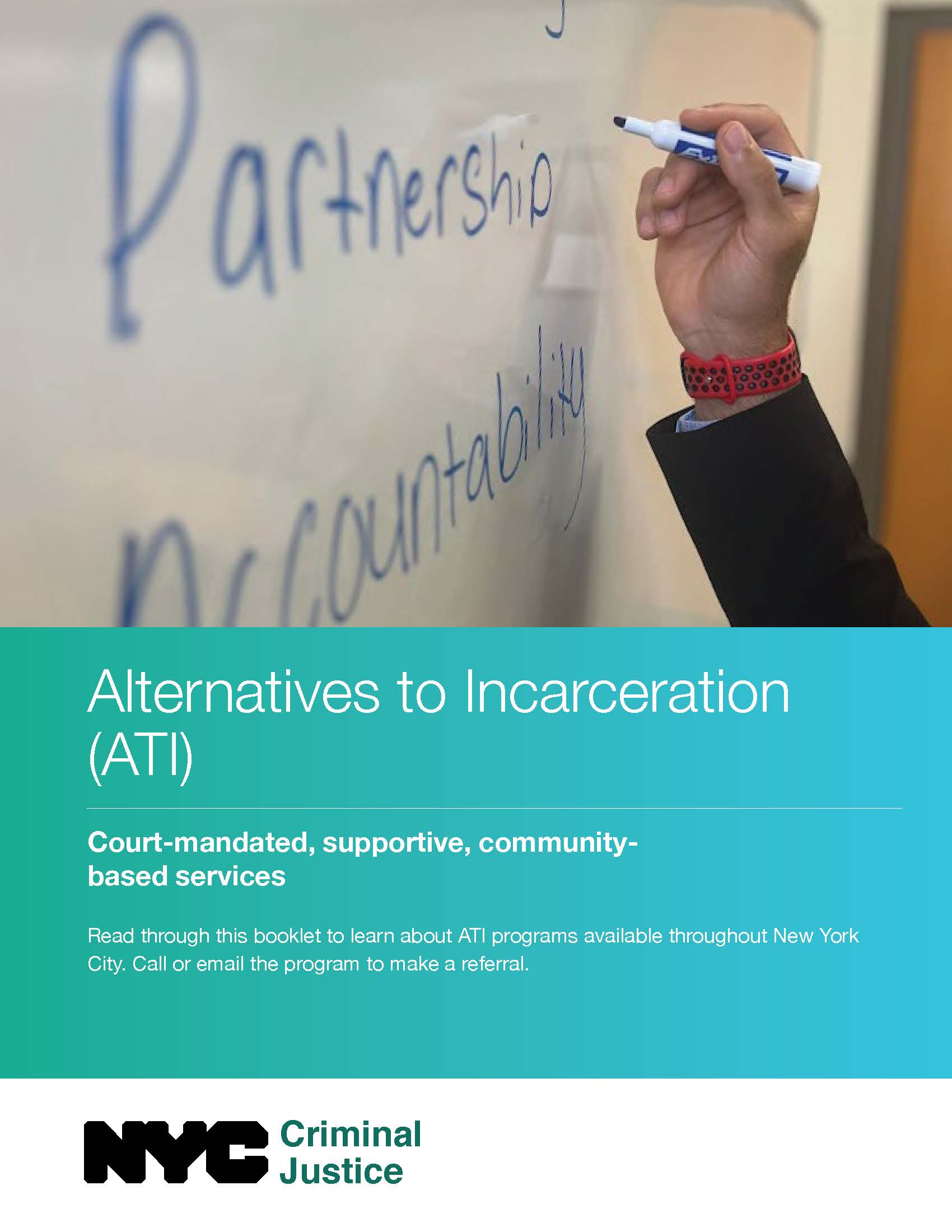 Alternatives to Incarceration Program Guide